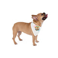 Dog wearing a bandana with a colorful design on a white background