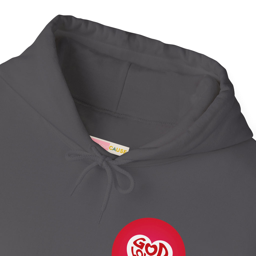 Gray hoodie with a red logo on the chest against a white background