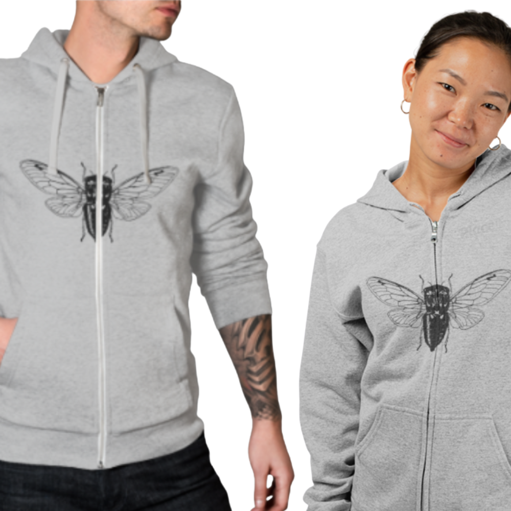 The cicada speaks of hidden truths