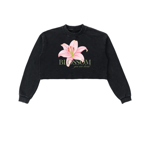 Snow Washed Raw Edge Cropped Sweatshirt