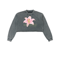 Snow Washed Raw Edge Cropped Sweatshirt